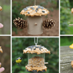 Simple Bird Feeders